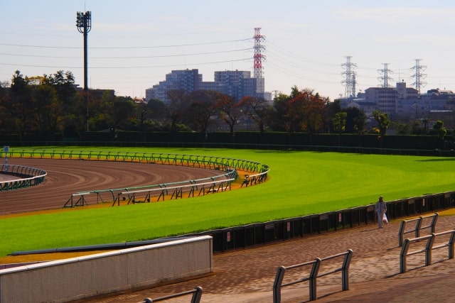 中山競馬場