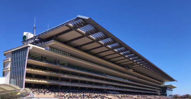 京都競馬場