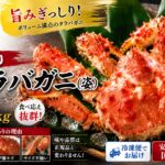 島の人｜訳あり タラバガニ（姿）1.0kgのイメージ