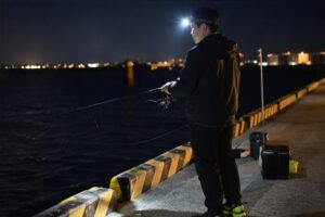 堤防で夜釣りを楽しむ様子
